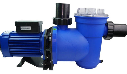 Blue plastic swimming pool pump with black motor housing and fittings.