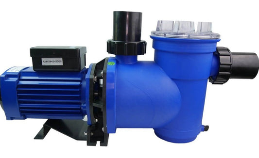 Blue plastic swimming pool pump with black motor housing and fittings.
