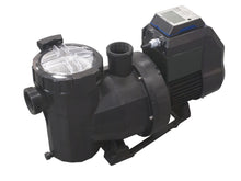 Load image into Gallery viewer, Astral Victoria Plus Variable Speed Pump (D24)
