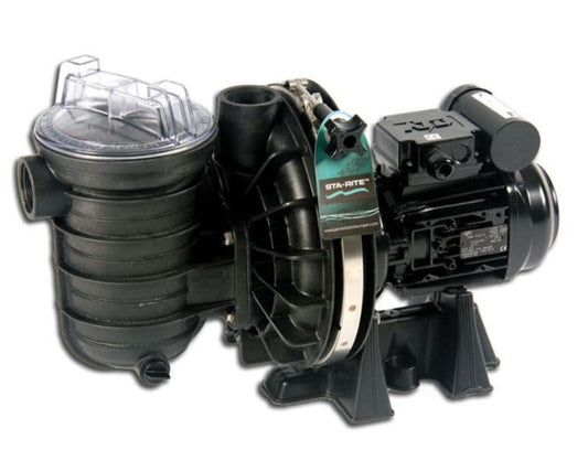 Black sta-rite pool pump with a clear plastic lid on the filter housing and metallic accents.