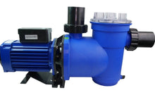 Load image into Gallery viewer, Argonaut Three Phase Pump (D24)
